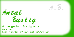 antal buslig business card